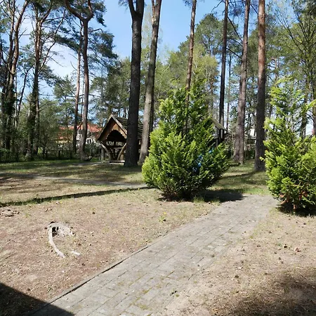 Ostsee- Strandkoerbchen- Waldblick *