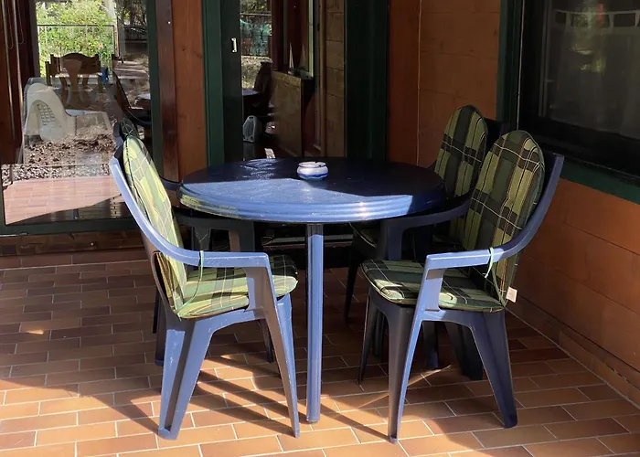 Ostsee- Strandkoerbchen- Waldblick